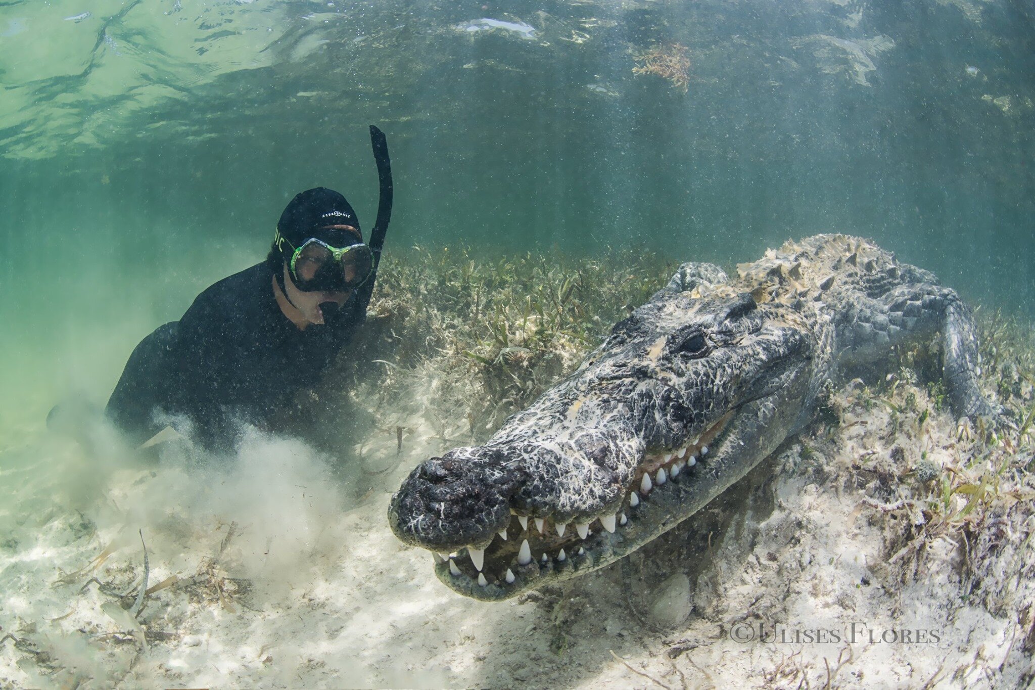 Fieldwork - Scuba - Mexico Crocs 2019.jpg