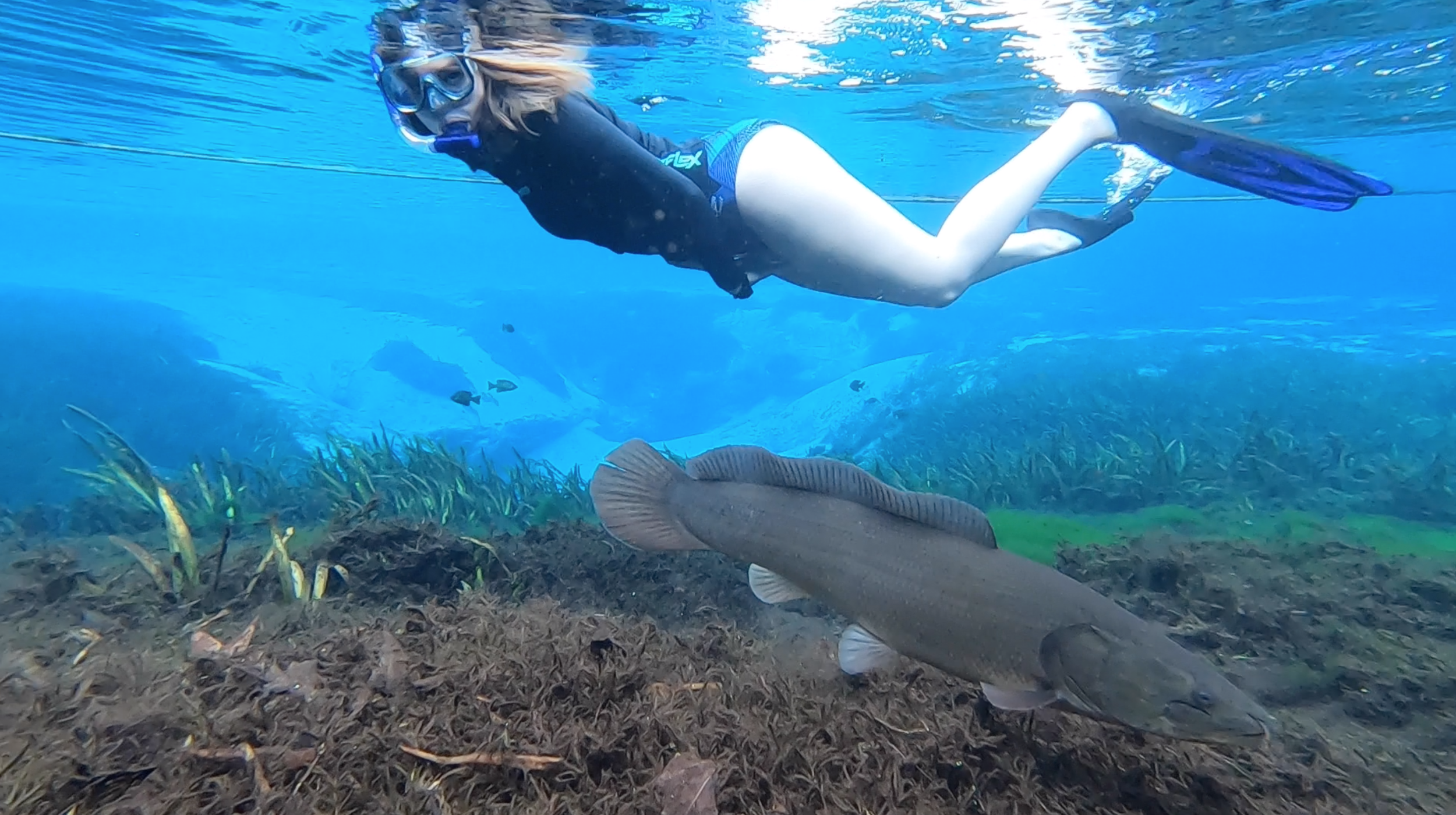 Screen Shot 2024-03-07 at 9.26.04 AM.png